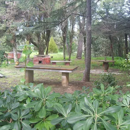 Garden Lucia Σπίτι διακοπών *