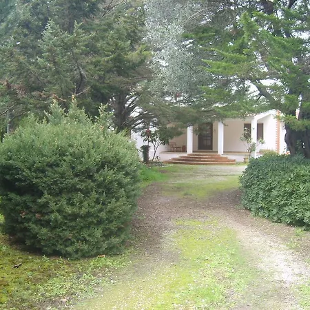 Garden Lucia