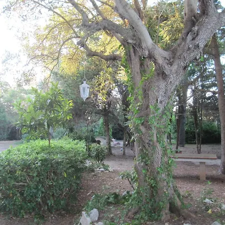 Garden Lucia Σπίτι διακοπών