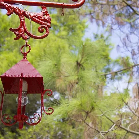 Garden Lucia Σπίτι διακοπών Λέτσε