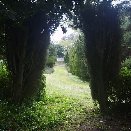 Garden Lucia * Λέτσε