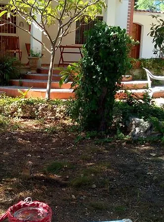 Garden Lucia *